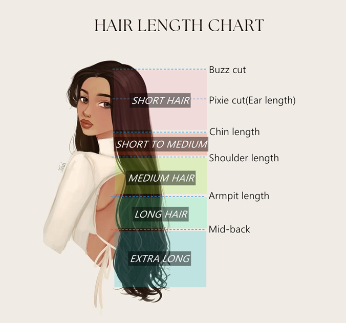 Hair Length Chart For Choosing Your Haircuts & Extensions