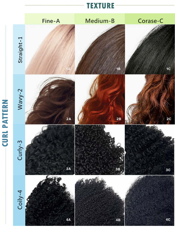 hair type终.jpg