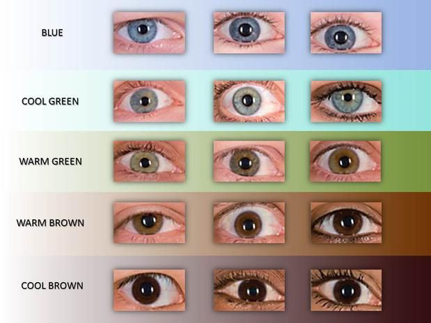 eye color.jpg