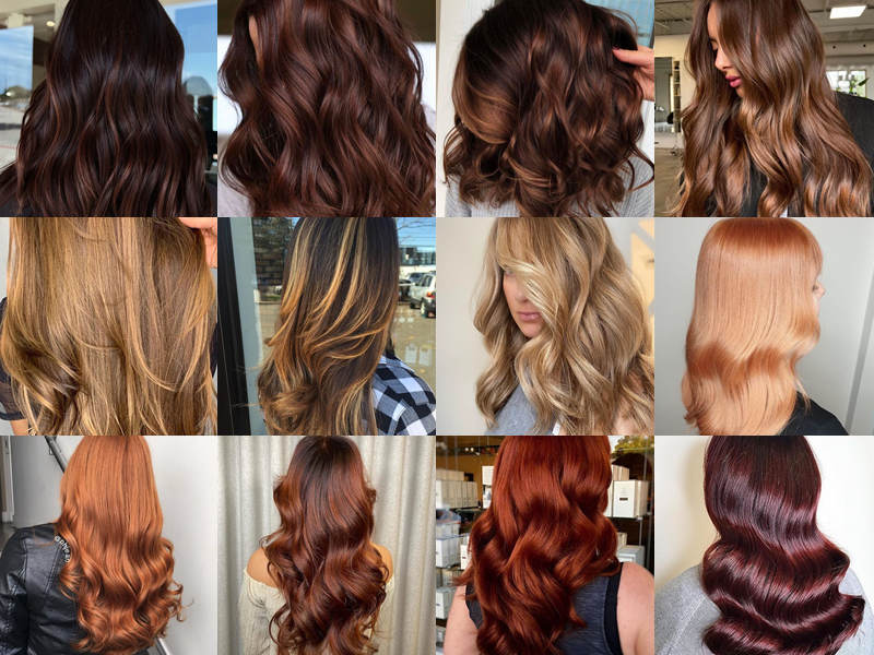 Guide to Finding the Hair Color That Suits You Best